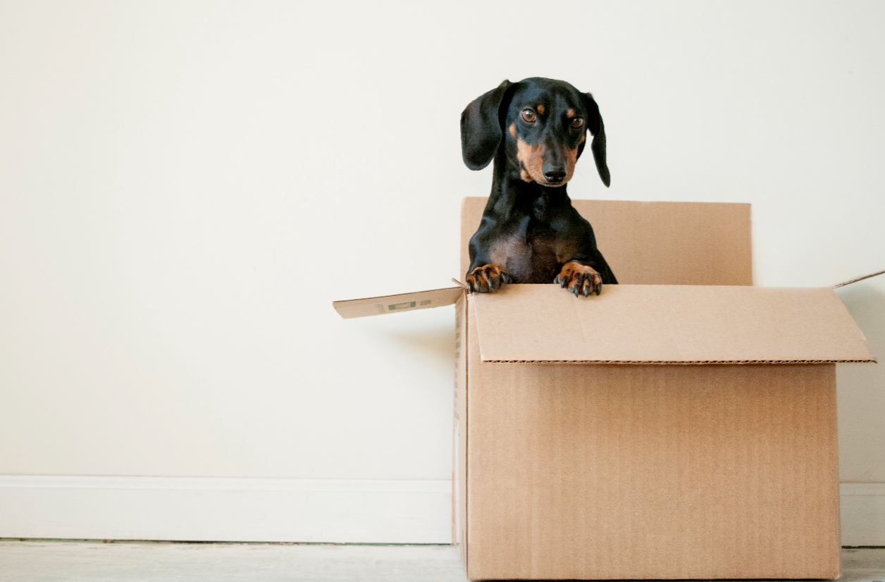 How to Protect Your Floors During a Move