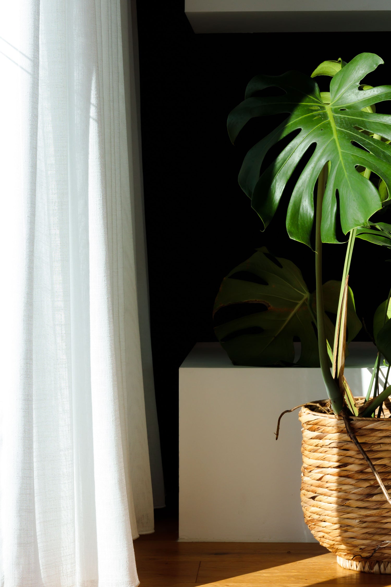 Curtains & Blinds