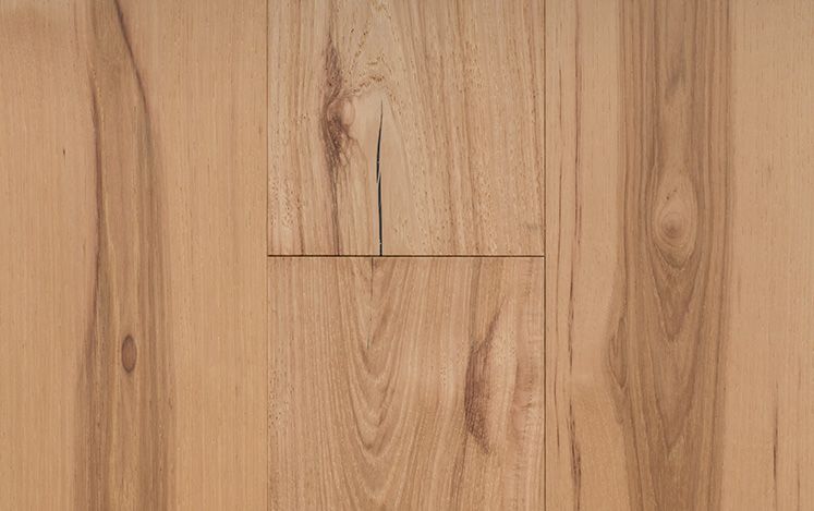 Hickory Classique