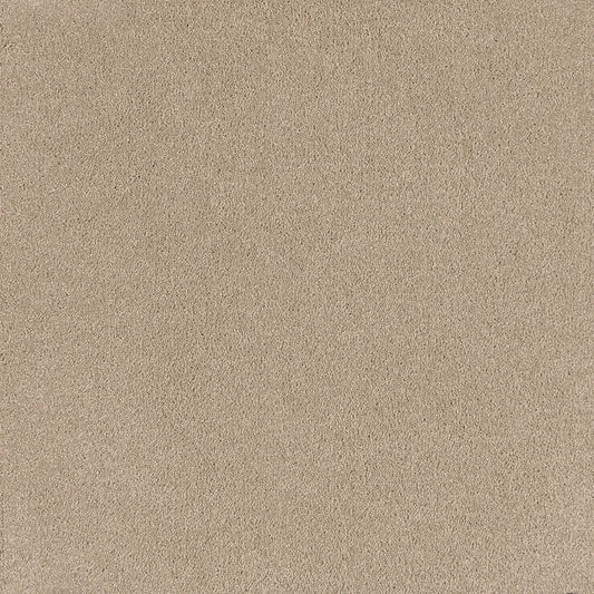 Relax cut pile twist carpet, a soft warm pale beige with relaxed natural undertones and richly soft pile, from the Kawana Flooring EC Carpets Comfort Touch collection