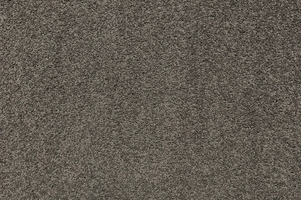 Trial Print cut pile carpet, a deep architectural near-black with quiet sophistication and rich tonal weight, from the Kawana Flooring Beaulieu Mystic Isle collection
