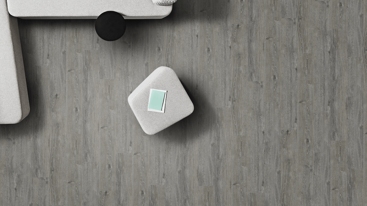 Apollo Colour: Dolphin hybrid flooring Sunshine Coast