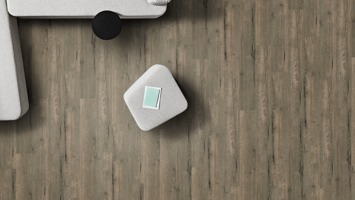 Apollo Colour: Python hybrid flooring Sunshine Coast