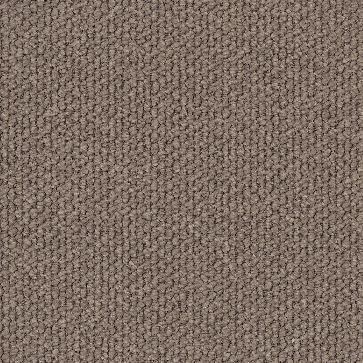 Flinders Gorge Colour: Jarvis carpet Sunshine Coast