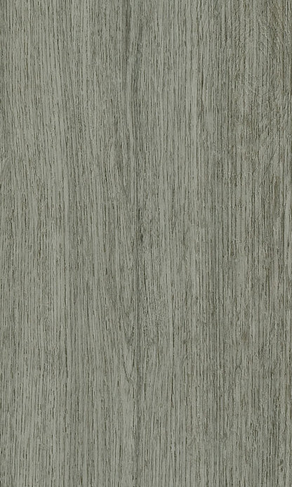 Natural Oak Colour: Tempest vinyl plank flooring Sunshine Coast
