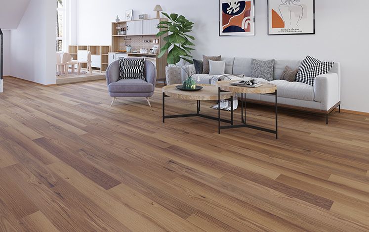 Nouvelle Acoustic 180mm Colour: Alpine Spotted Gum hybrid flooring Sunshine Coast