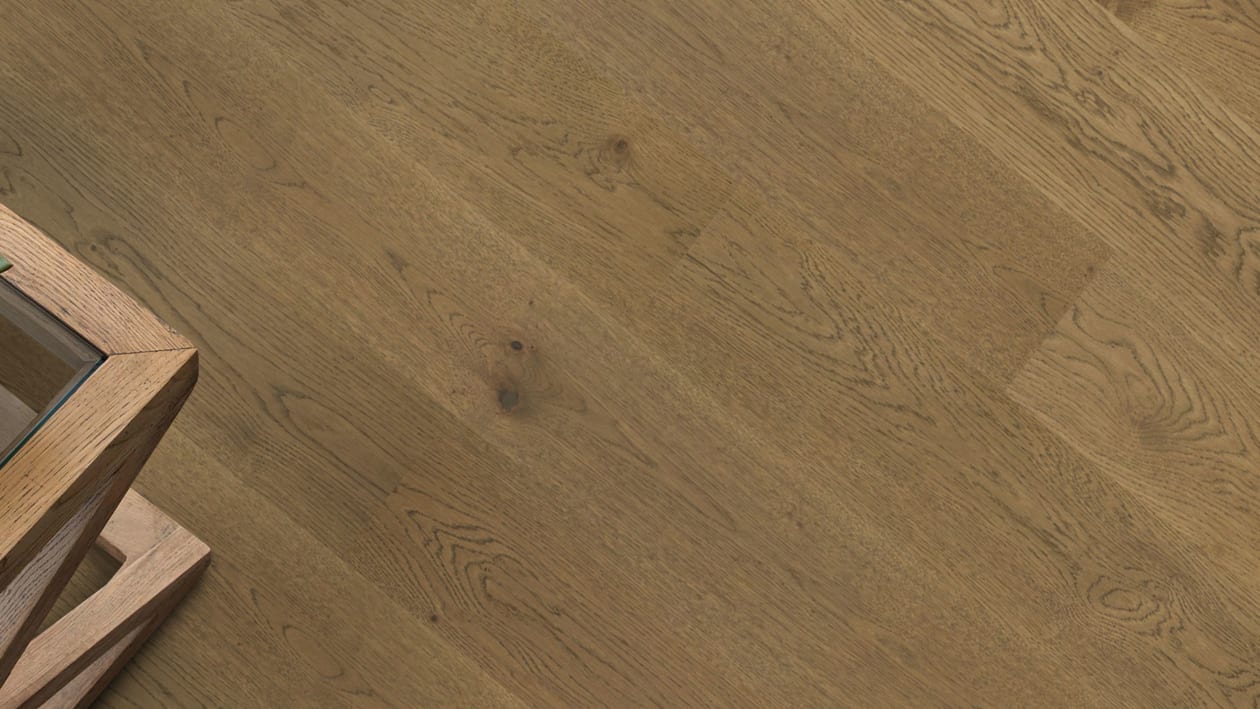 Corsica Oak