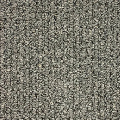 Breeze scroll loop carpet, a deep architectural cool-grey with strong anchoring depth, from the Kawana Flooring Belgotex Alexandria collection