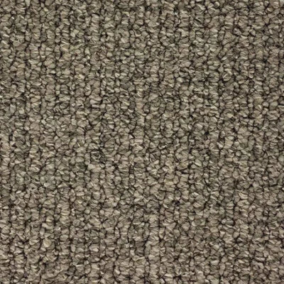 Flow scroll loop carpet, a confident deeper grey with architectural tonal weight, from the Kawana Flooring Belgotex Alexandria collection