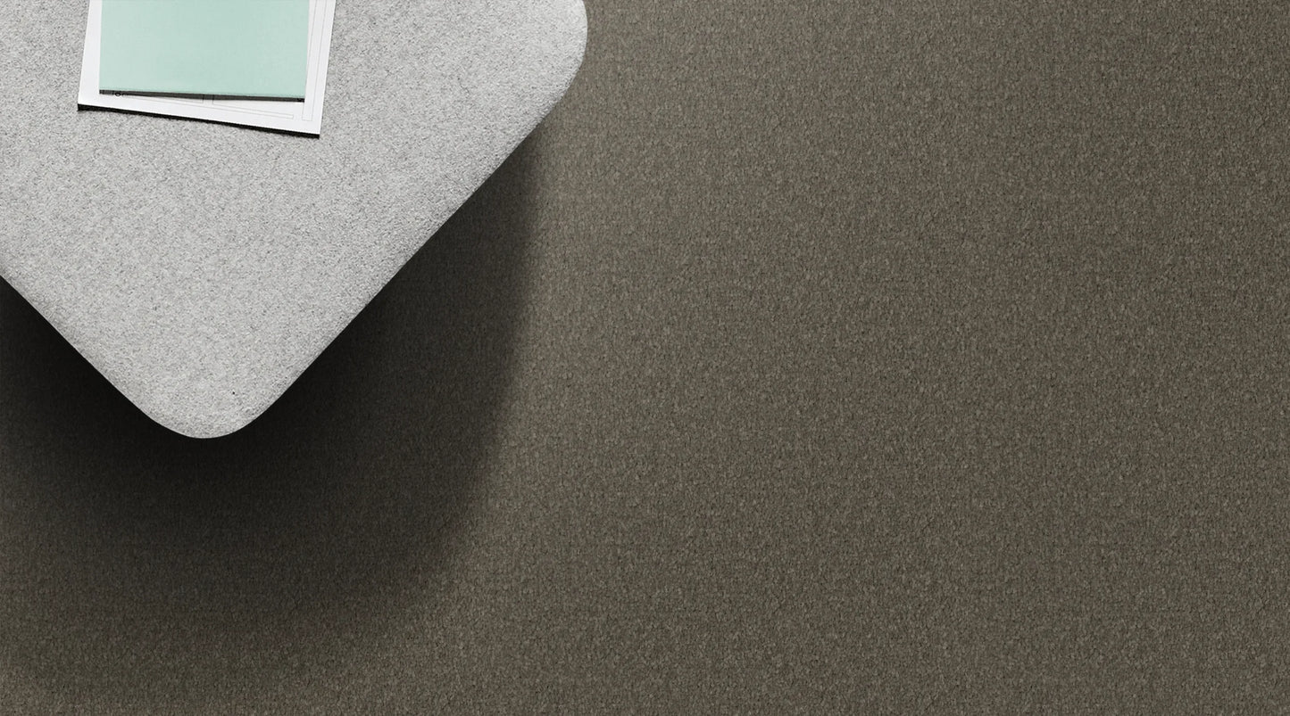 Apollo Ridge Vintage polyester carpet