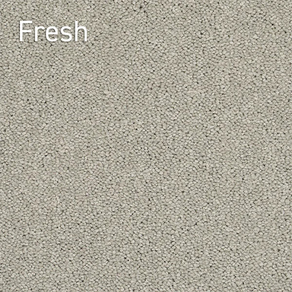 Autumn Encounters Fresh solution dyed nylon carpet