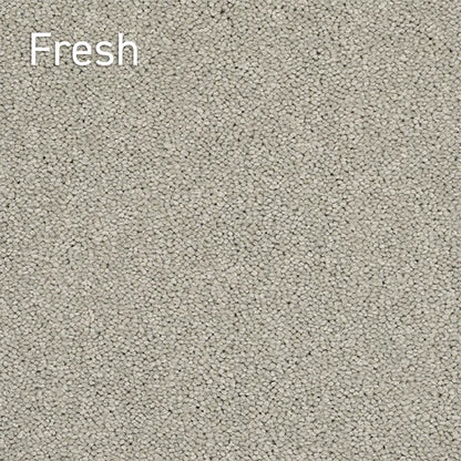 Autumn Encounters Fresh solution dyed nylon carpet