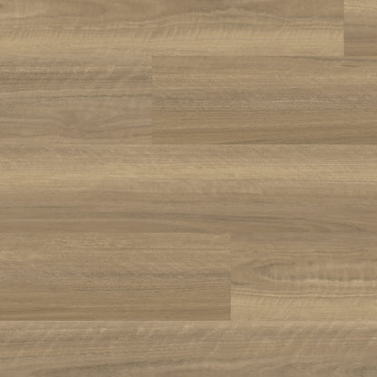 Avanti Classic Eucalypt vinyl plank flooring