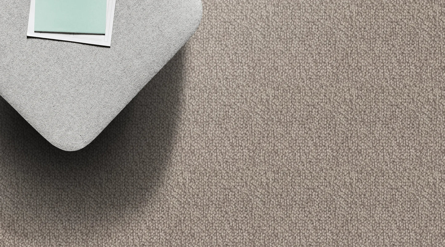 Balmain Ashwood solution dyed nylon carpet
