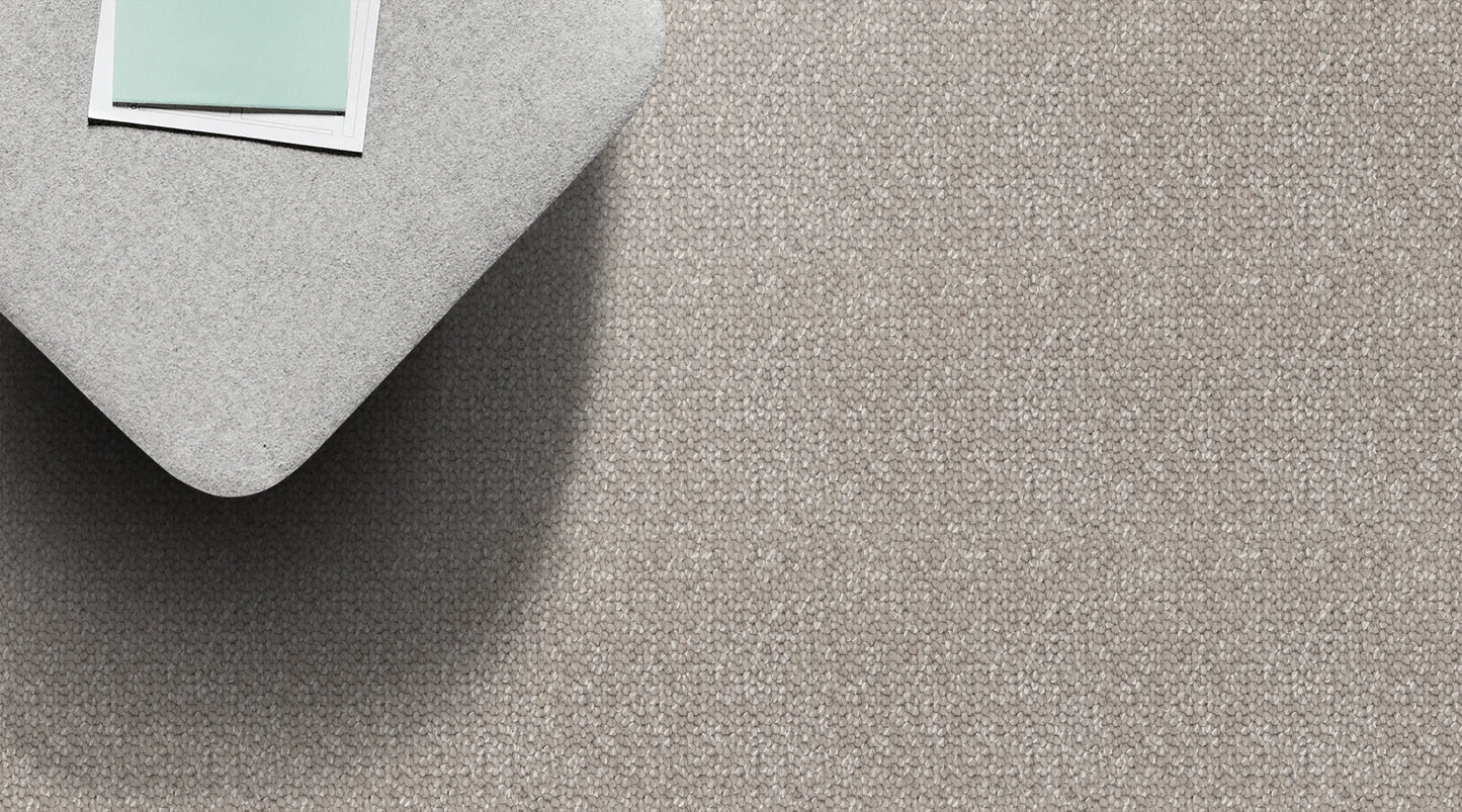 Balmain Grey Beam solution dyed nylon carpet