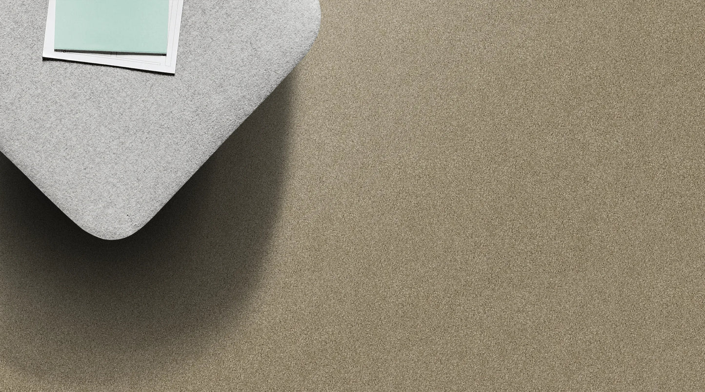 Bayside Beach Shell solution dyed nylon carpet