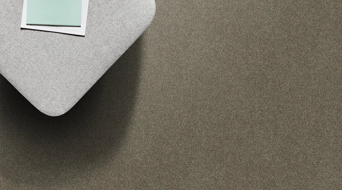 Bayside Tumbleweed solution dyed nylon carpet