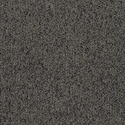 Coco textured tufted loop carpet, a deep anchoring charcoal with rich shadowed depth and prominent heathered surface, from the Kawana Flooring EC Carpets Bouclé collection