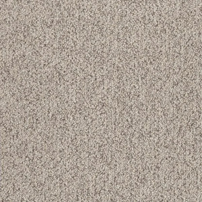 Mokum textured tufted loop carpet, a warm mid-beige with rich grounded character and prominent heathered texture, from the Kawana Flooring EC Carpets Bouclé collection