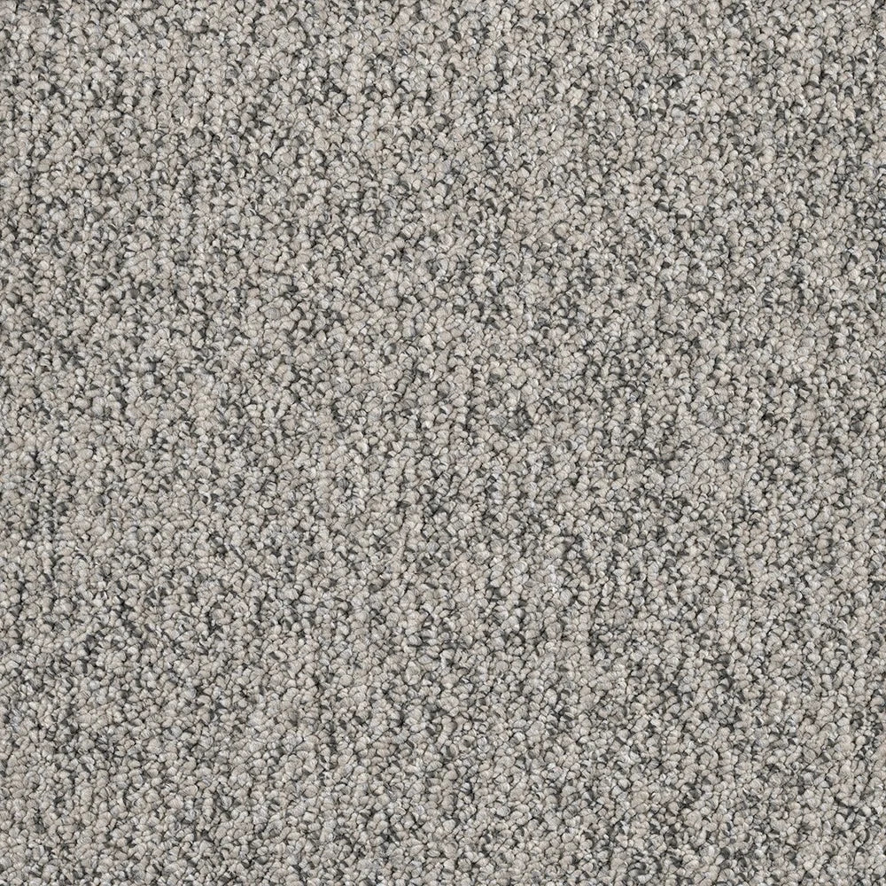 Shu textured tufted loop carpet, a confident deeper cool-grey with architectural depth and richly textured loop construction, from the Kawana Flooring EC Carpets Bouclé collection