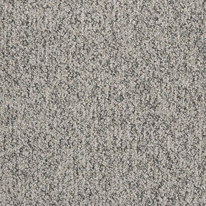Shu textured tufted loop carpet, a confident deeper cool-grey with architectural depth and richly textured loop construction, from the Kawana Flooring EC Carpets Bouclé collection