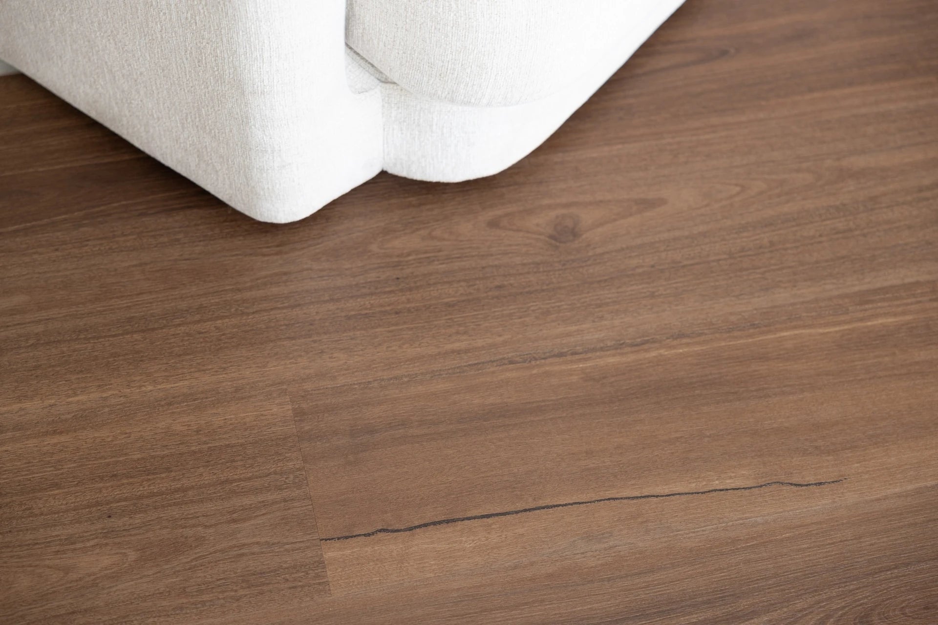 Coastal Collection Maleny Spotted Gum luxury vinyl plank flooring with a cream boucle sofa in a Sunshine Coast living room