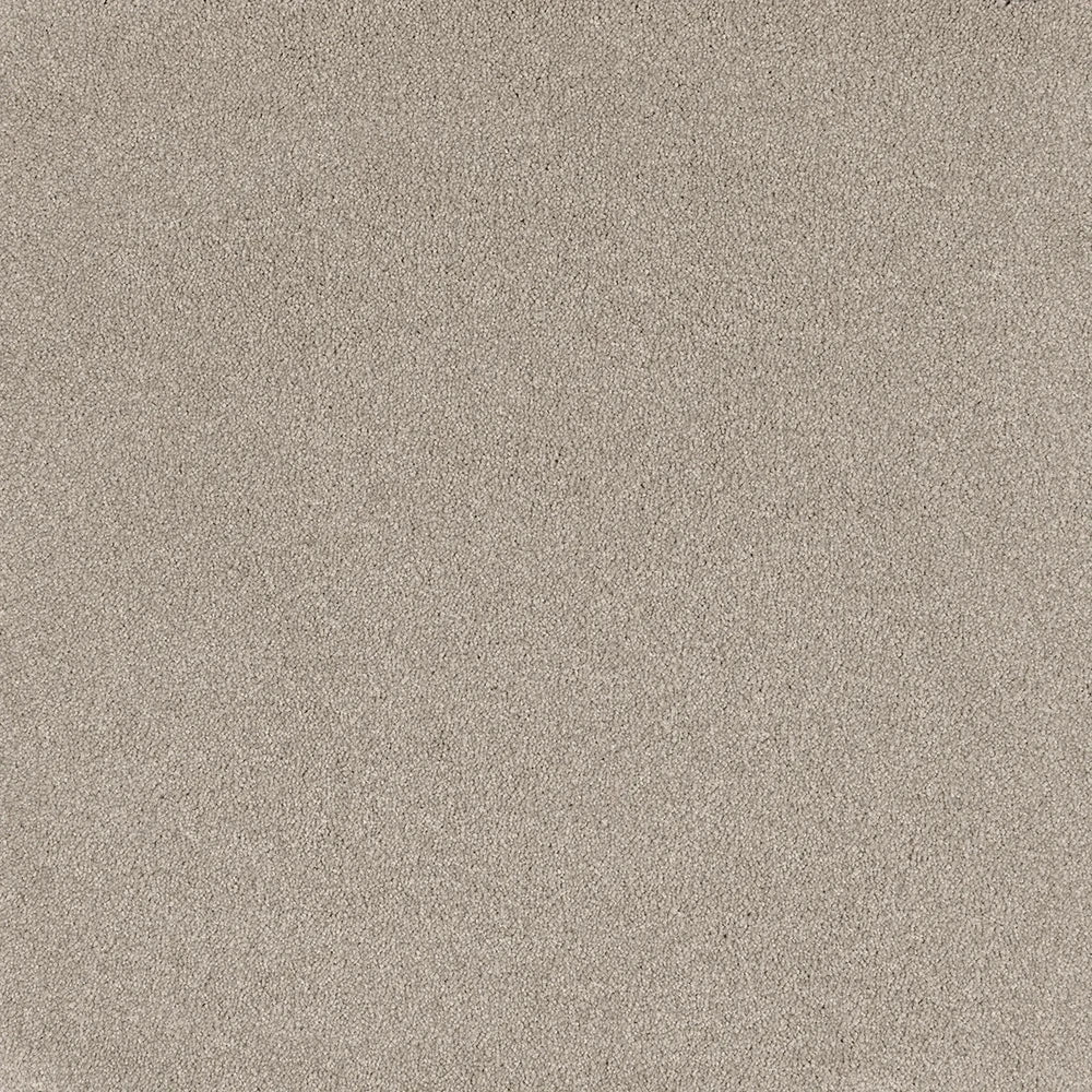 Charm cut pile twist carpet, a refined balanced cool-grey with quietly charming character and finely tufted pile, from the Kawana Flooring EC Carpets Comfort Touch collection