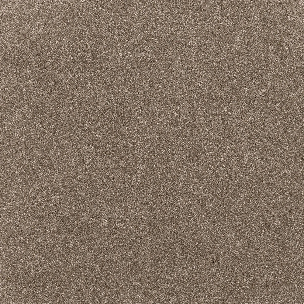 Ease cut pile twist carpet, a soft luminous neutral with quietly calming character and refined plush feel, from the Kawana Flooring EC Carpets Comfort Touch collection