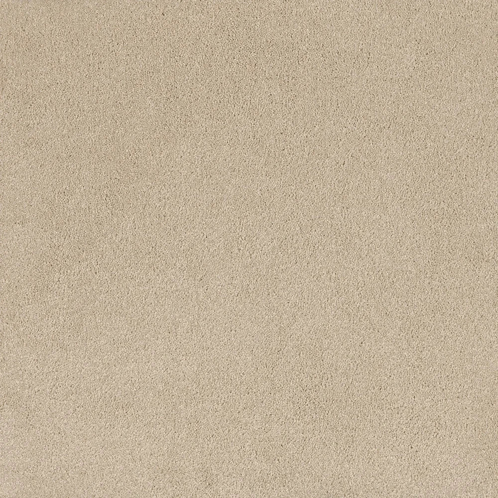 Humble cut pile twist carpet, a soft warm pale cream with gently humble character and densely plush surface, from the Kawana Flooring EC Carpets Comfort Touch collection