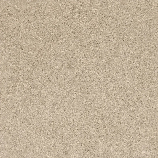 Humble cut pile twist carpet, a soft warm pale cream with gently humble character and densely plush surface, from the Kawana Flooring EC Carpets Comfort Touch collection