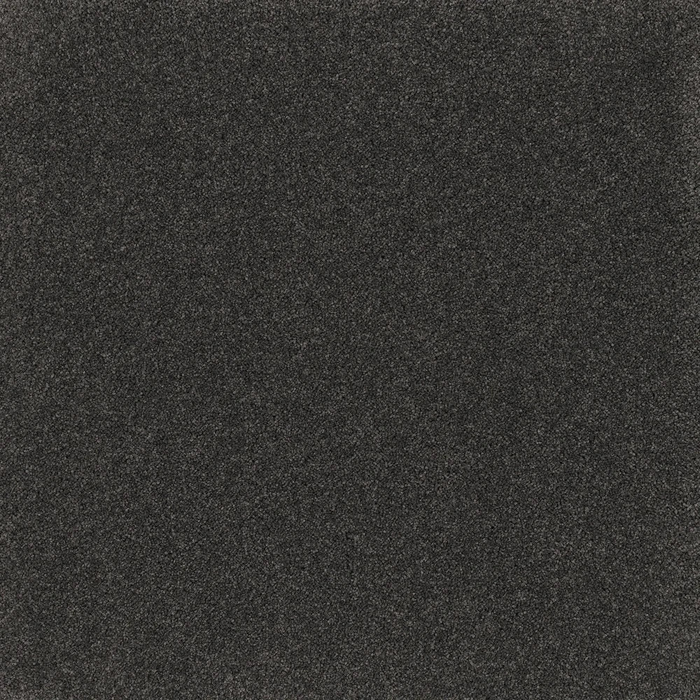 Mood cut pile twist carpet, a deep architectural charcoal with rich shadowed depth and luxuriously soft pile, from the Kawana Flooring EC Carpets Comfort Touch collection