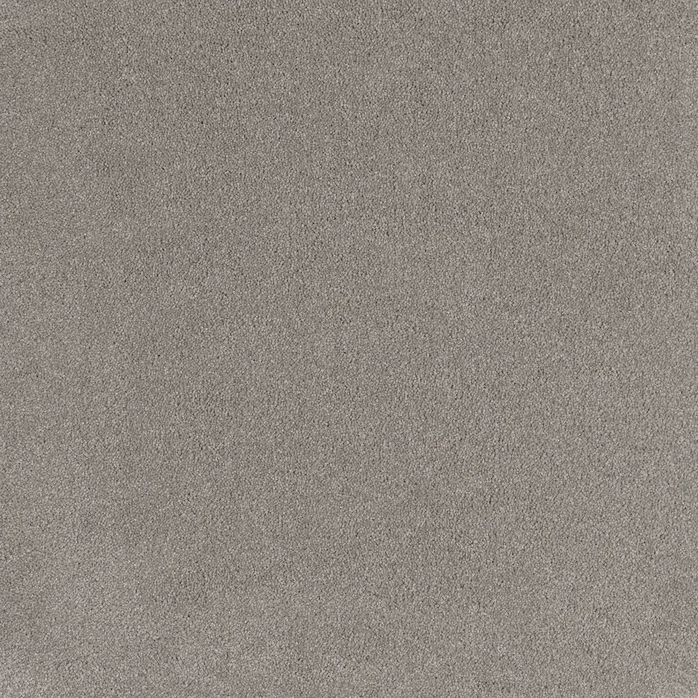 Peace cut pile twist carpet, a sophisticated mid cool-grey with composed tonal character and densely plush surface, from the Kawana Flooring EC Carpets Comfort Touch collection