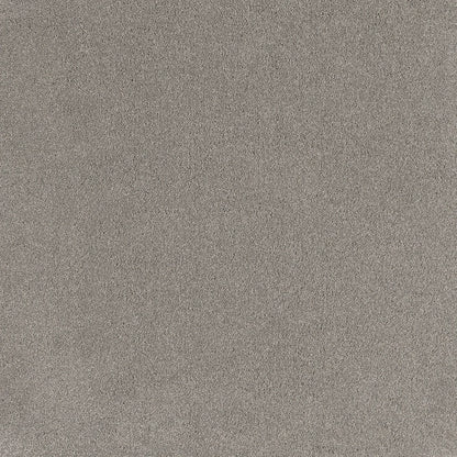 Peace cut pile twist carpet, a sophisticated mid cool-grey with composed tonal character and densely plush surface, from the Kawana Flooring EC Carpets Comfort Touch collection