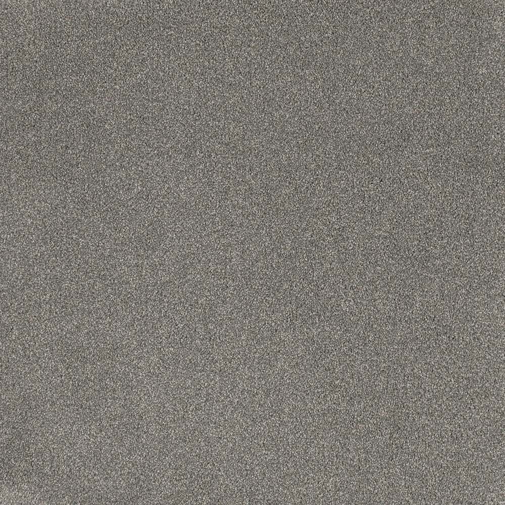 Quiet cut pile twist carpet, a deeper cool-grey with quietly architectural depth and richly plush feel, from the Kawana Flooring EC Carpets Comfort Touch collection