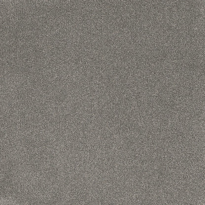 Quiet cut pile twist carpet, a deeper cool-grey with quietly architectural depth and richly plush feel, from the Kawana Flooring EC Carpets Comfort Touch collection