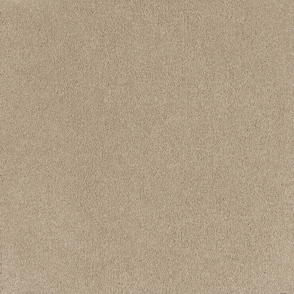 Relax cut pile twist carpet, a soft warm pale beige with relaxed natural undertones and richly soft pile, from the Kawana Flooring EC Carpets Comfort Touch collection