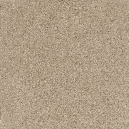 Relax cut pile twist carpet, a soft warm pale beige with relaxed natural undertones and richly soft pile, from the Kawana Flooring EC Carpets Comfort Touch collection