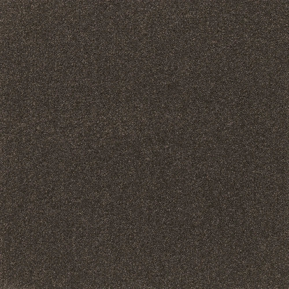 Snug cut pile twist carpet, a deep anchoring near-black with cosy enveloping depth and densely plush surface, from the Kawana Flooring EC Carpets Comfort Touch collection
