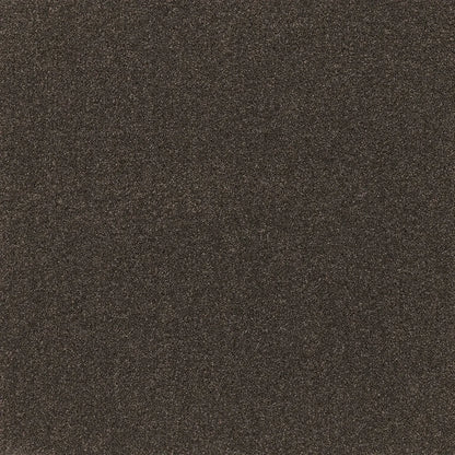 Snug cut pile twist carpet, a deep anchoring near-black with cosy enveloping depth and densely plush surface, from the Kawana Flooring EC Carpets Comfort Touch collection