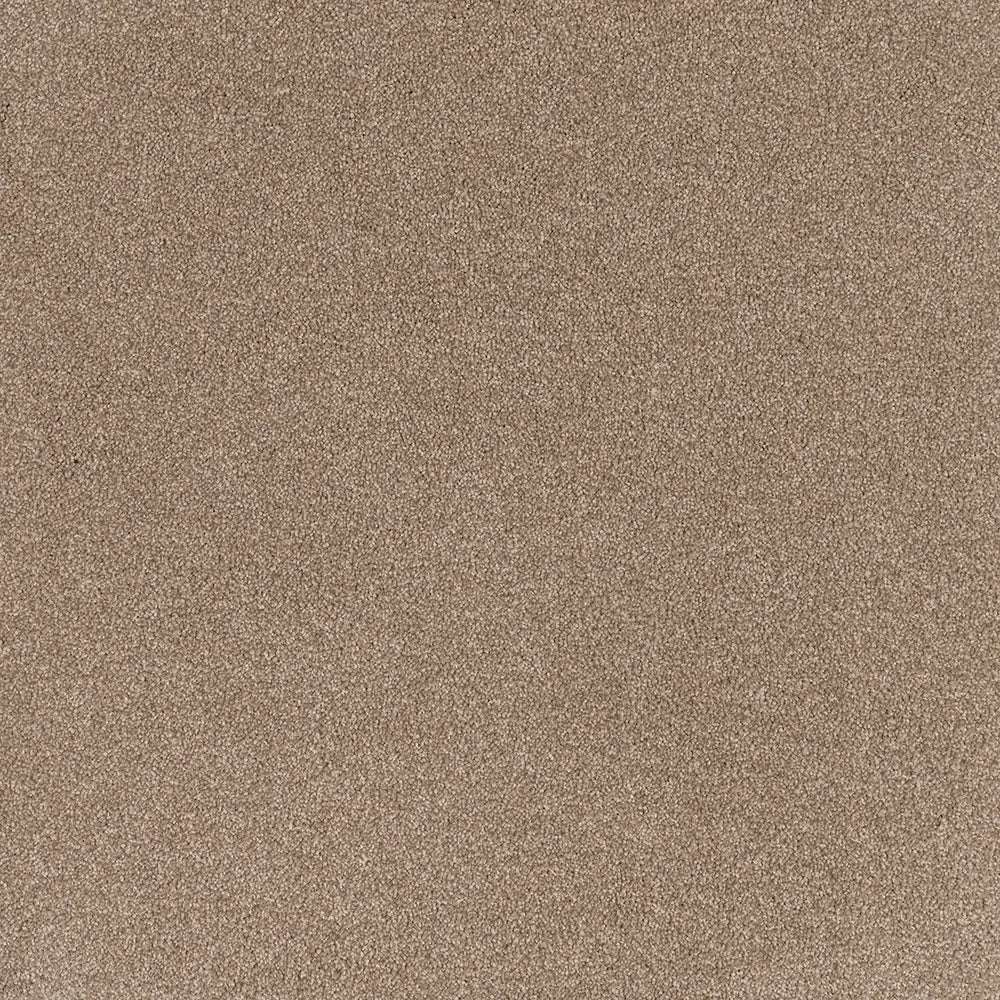 Warmth cut pile twist carpet, a warm mid-beige with rich grounded character and densely tufted soft surface, from the Kawana Flooring EC Carpets Comfort Touch collection