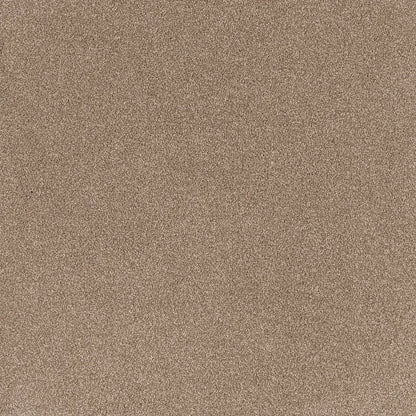 Warmth cut pile twist carpet, a warm mid-beige with rich grounded character and densely tufted soft surface, from the Kawana Flooring EC Carpets Comfort Touch collection