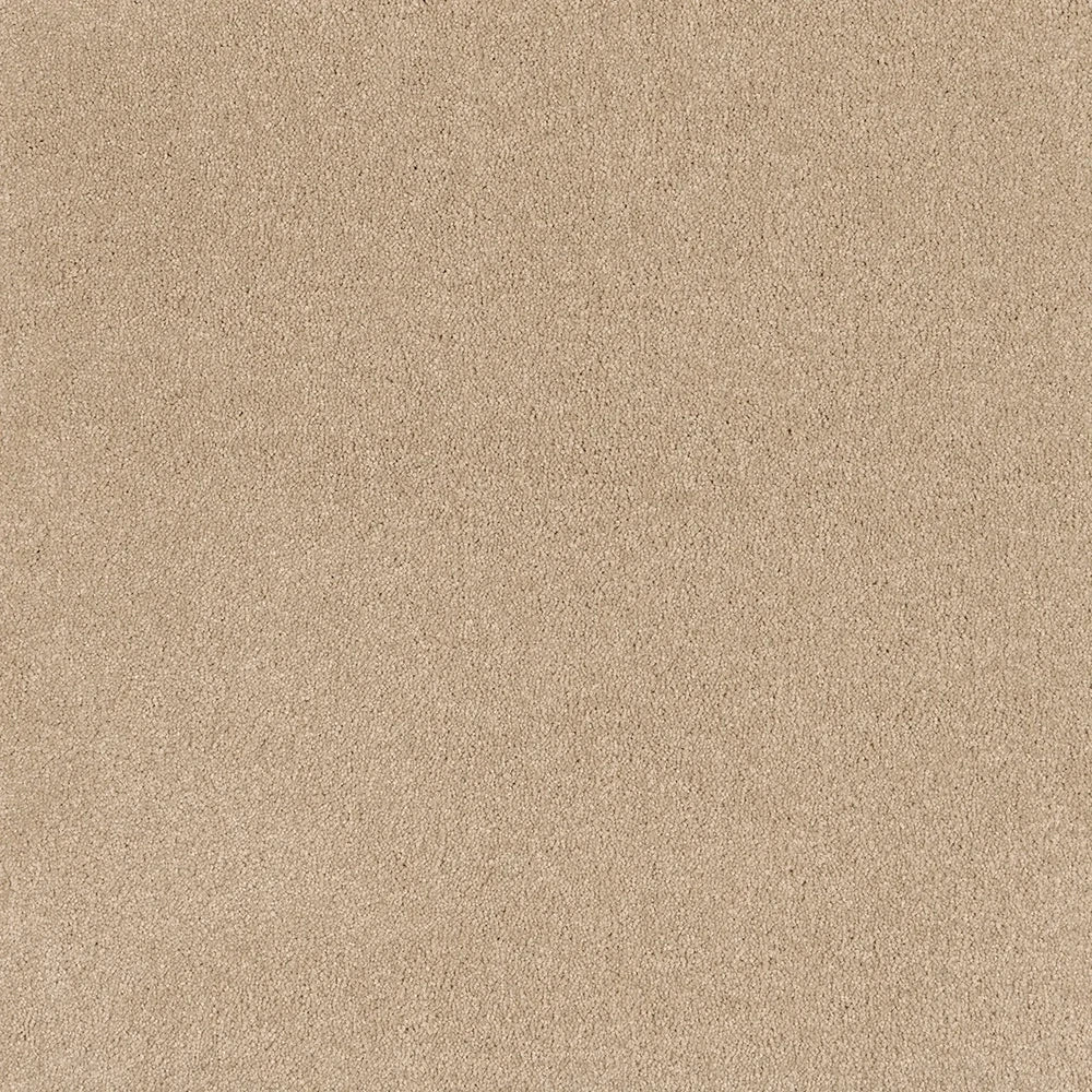 Zen cut pile twist carpet, a balanced warm-grey with quietly composed character and luxurious plush surface, from the Kawana Flooring EC Carpets Comfort Touch collection