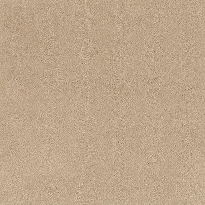 Zen cut pile twist carpet, a balanced warm-grey with quietly composed character and luxurious plush surface, from the Kawana Flooring EC Carpets Comfort Touch collection