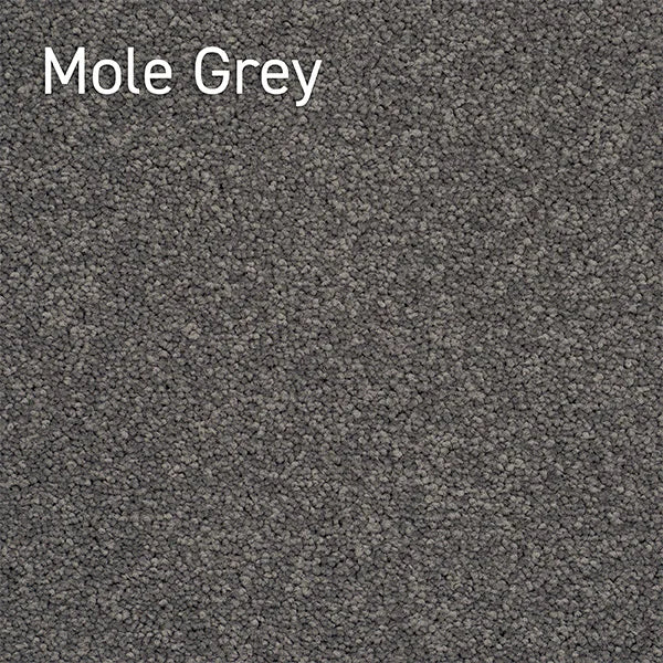 Crossley Twist Mole Grey solution dyed nylon carpet