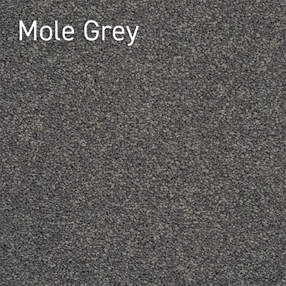 Crossley Twist Mole Grey solution dyed nylon carpet