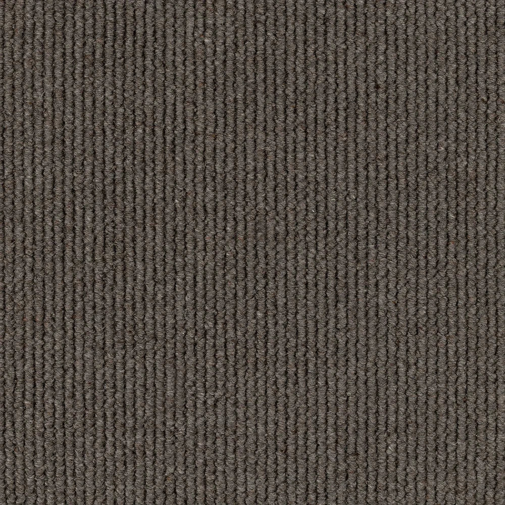 Frosted textured tufted loop carpet, a deeper cool-grey with crisp wintered character and richly textured wool, from the Kawana Flooring EC Carpets Dawson Falls collection