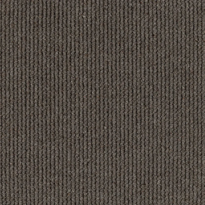 Frosted textured tufted loop carpet, a deeper cool-grey with crisp wintered character and richly textured wool, from the Kawana Flooring EC Carpets Dawson Falls collection