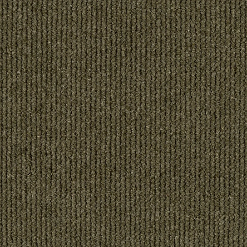 Harmony textured tufted loop carpet, a confident standout olive-green with rich natural depth and heathered wool character, from the Kawana Flooring EC Carpets Dawson Falls collection