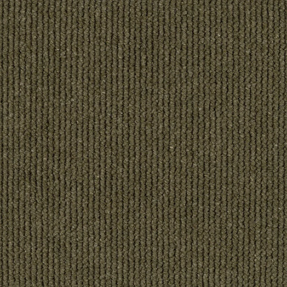 Harmony textured tufted loop carpet, a confident standout olive-green with rich natural depth and heathered wool character, from the Kawana Flooring EC Carpets Dawson Falls collection