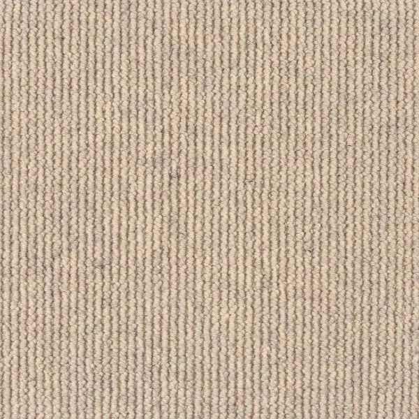 Meadow textured tufted loop carpet, a soft warm pale beige with gentle natural undertones and heathered wool character, from the Kawana Flooring EC Carpets Dawson Falls collection
